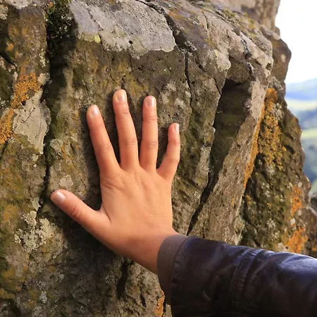 Artist Flat Flour Apartamento