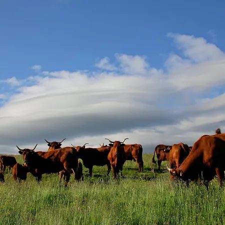 Artist Flat Flour Apartamento *