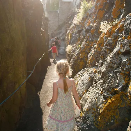 Artist Flat Flour * Saint-Flour (Cantal)